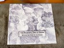 Between the Heart and the Synapse by the Receiving End of Sirens 2LP FREE SHIP