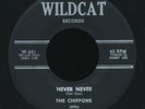 CHIFFONS on Wildcat / Never Never girl group rarity /  hear it 