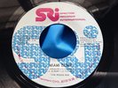 Hear Rare Funk Soul 45 : Miami Bump   The Rising Sun - SRI Spector 1001