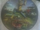 Iron maiden limited edition picture disc evil in Florida. Rare mint copy.