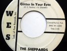 SHEPPARDS 45 Every Now & Then / Glitter In Your Eyes DOO WOP Original e6913