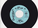 FUNK 45 RPM - HONEY AND THE BEES ON ARCTIC RECORDS