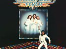 Saturday Night Fever (The Original Movie Sound Track) Bee Gees (Artist)  VINYL