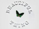 The Stone Roses - Beautiful Thing 12