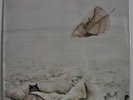 Arild Andersen Clouds In My Head Japan LP 1975 Trio PAP-9038 Insert ECM