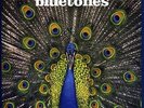 Expecting to Fly [20th Anniversary Edition] [LP] by The Bluetones.