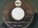 RARE Northern Soul Funk 45 record The Trends #10817 ABC VG++ L K