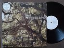 TRAVIS - The Invisible Band VINYL LP UK Independiente ISOM 25LP OIS RAR
