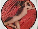 MARILYN MONROE 1985 PICTURE DISC Vinyl LP RUNNING WILD NearMINT