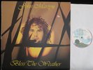 JOHN MARTYN - Bless the Weather [Island] UK 1st pressing EXCELLENT- LP