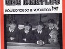 Beatles US 45 How Do You Do It / Revolution with Picture Sleeve Blue Vinyl