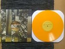 You Blew It - Keep Doing What You're Doing 1st Press vinyl Hotelier IIOI Emo