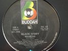 BLACK IVORY-mainline-RARE ORIG 1979 BUDDAH DISCO/SOUL 12