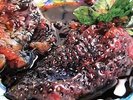 Strawberry Jam - Animal Collective LP