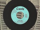 The Mosriters Take That Treat Her Right Castle 45 Record MINT SURF INSTRUMENTAL