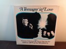 DION & THE BELMONTS A Teenager In Love 4 LP Box vinyl Set   Dion & 60 R&R Hits