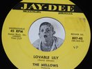 R&B Doo Wop 45 THE MELLOWS Feat. LILLIAN LEACH Lovable Lily/ Yesterday's Jay Dee