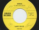 Hear - Rare TX Rockabilly 45 - Larry Skiles - Echoes - Jamaka # 1931- M-