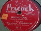 HOUND DOG // 