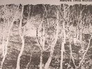 NAGAMATZU - Above This Noise - Vinyl (LP + insert)
