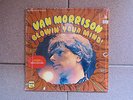 Van Morrison 