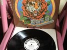 ROBERT HUNTER VINYL tiger rose LP GRATEFUL DEAD garcia 1975 SCARCE ALBUM Vg+EXC