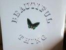 The Stone Roses - Beautiful Thing 12