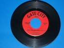THE MAJORS 45 RPM RECORD WHAT YOU SEE IS WHAT YOU GET