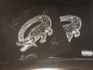 Catfish and the Bottlemen Signed The Ride Vinyl LP INNER BOOKLET PROOF