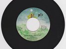 BLACK UHURU - DREAD IN THE MOUNTAIN / LET US PRAY - JR ( KILLER DIGI ROOTS 7 )