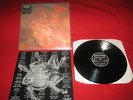 1 Lp   MORBID ANGEL   BLESSED ARE THE SICK  UK-PRESSUNG  MOSH31