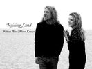 Robert Plant / Alison Krauss / Raising Sand - 2 Vinyl LP 180g - Led Zeppelin