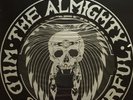 The Almighty Wild and Wonderful 12