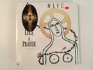 MADONNA VINYL LP 12