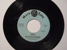 RARE MOD FUNK GARAGE 45  THE SELECTIVE SERVICE  SHAKE / GREEN ONIONS  MAIN LINE
