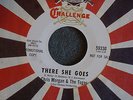 60's GARAGE ROCK 45 Chris Morgan There She Goes Challenge 59330 Promo M-HEAR MP3