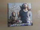 The Black Crowes - Jealous Again 2008 7