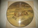 ERROR READ 1/1 ELVIS  PICTURE DISC RECORD ELVIS RECORD ALBUM WRONG PICTURE