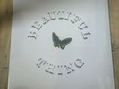 THE STONE ROSES BEAUTIFUL THING - LTD 12