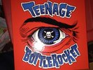 Teenage Bottlerocket 10x LP Box Set /300 CLEARVIEW Lillingtons Masked Intruder