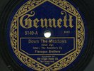 IRELAND - Flanagan Brothers on Gennett 78, nice 1923 sides - great
