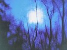 Flying Saucer Attack-Further  VINYL NEW