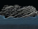 The Album Leaf - Between Waves