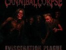 CANNIBAL CORPSE-EVISCERATION PLAGUE (LTD) (PICT)  (US IMPORT)  VINYL LP NEW