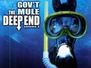 Gov't Mule - Vol. 2-The Deep End [Vinyl New]