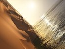 MARK PRITCHARD UNDER THE SUN NEW SEALED DOUBLE VINYL LP & MP3 IN STOCK