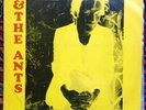 ADAM & THE ANTS 2LP LIVE at the ROXY,L.A.,1981 CREATIVE ARTISTRY