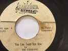 RARE UNKNOWN GARAGE PUNK ACETATE 45/ THE STERLING 