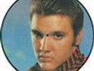 ELVIS PRESLEY Teddy Bear LP RARE VINYL IMPORT PICTURE DISC