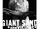 GIANT SAND - Provisions Vinyl LP Original mint- Condition